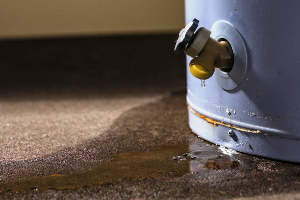 Best 24/7 water damage repair  in Mchenry, IL