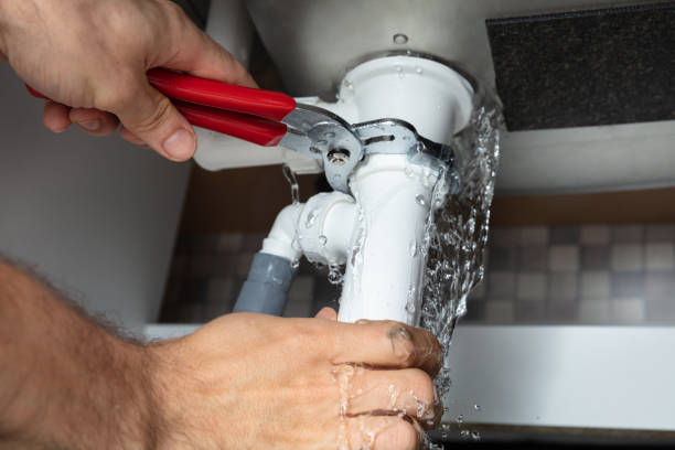 Best Mold removal after water damage  in Mchenry, IL