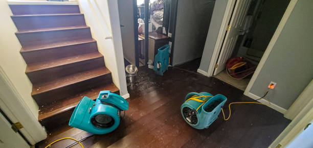 Best Water damage restoration near me  in Mchenry, IL