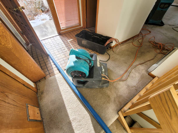 Best Professional water damage repair  in Mchenry, IL