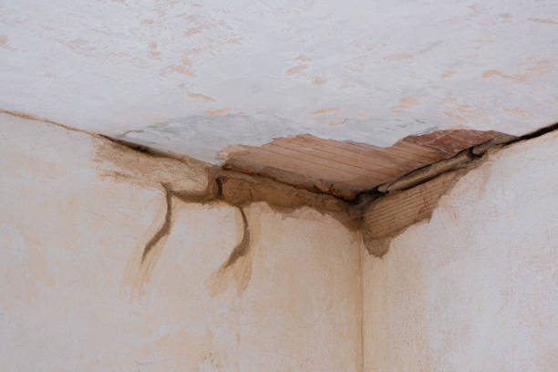 , IL Water damage restoration Company