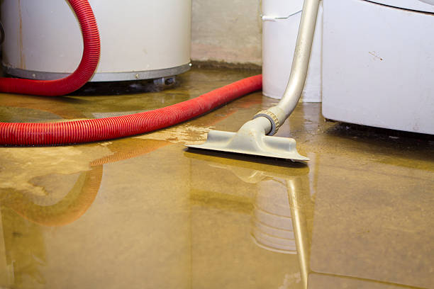 Best Water damage restoration experts  in Mchenry, IL