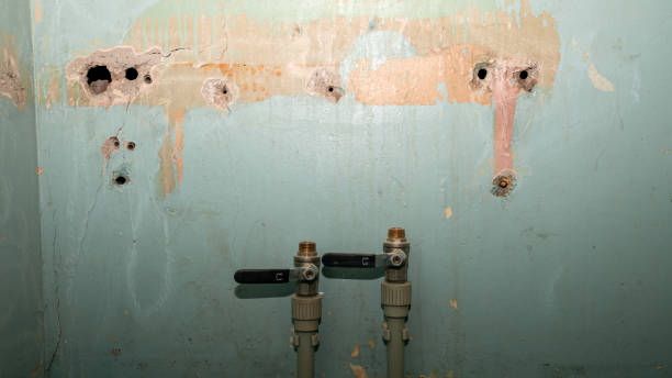 Best Water damage cleanup near me  in Mchenry, IL
