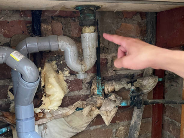 Best Professional water damage repair  in Mchenry, IL