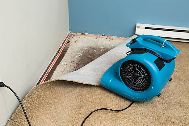 Best Sewage cleanup and water damage restoration  in Mchenry, IL