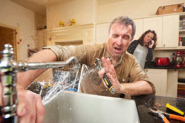 Best Local water damage restoration  in Mchenry, IL
